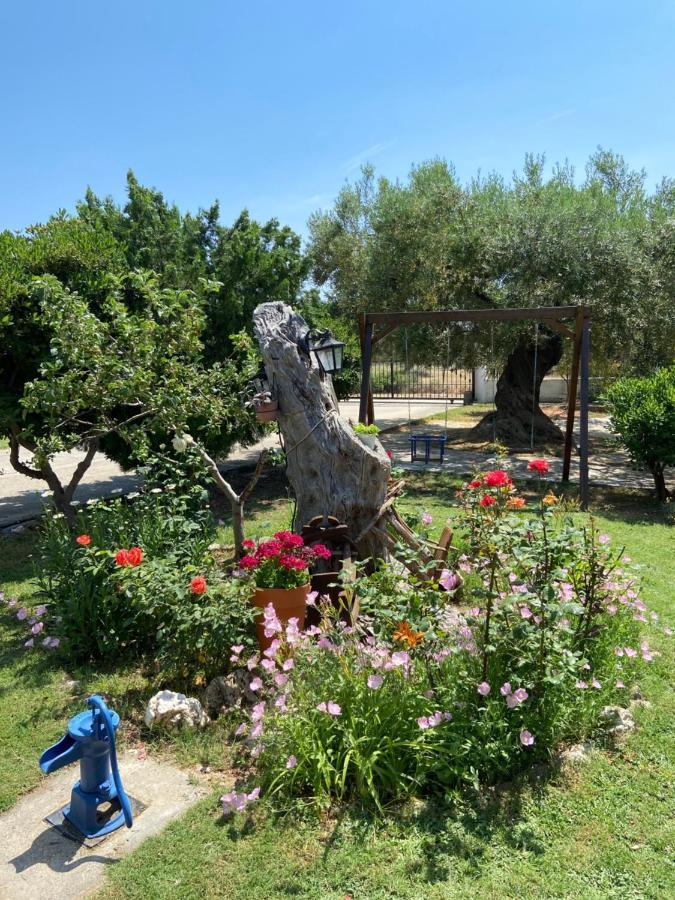 Wine & Olive Studio Γερακινή Εξωτερικό φωτογραφία